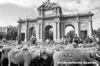 Puerta de Alcalá, Madrid