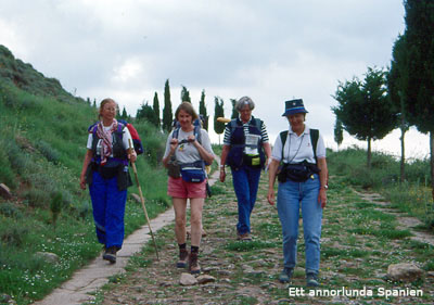 Vi lämnar Cirauqui (Navarra) på en gammal romersk väg som fortfarande är i ganska gott skick. Här har pilgrimer vandrat sedan medeltiden.