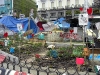 Grönsaksodling mitt på torget