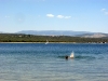 Vattenreservoaren El Atazar erbjuder härliga badmöjligheter under sommaren.