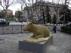 Den här kossan var riktigt vacker i all sin enkelhet. Fotad vid Plaza de Neptuno den 30 januari.