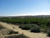 Finca Laraques välskötta vinodlingar.